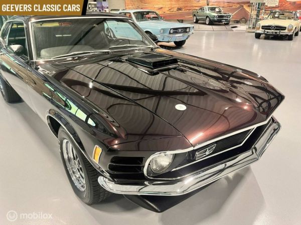 Ford Mustang 302 1970 123182