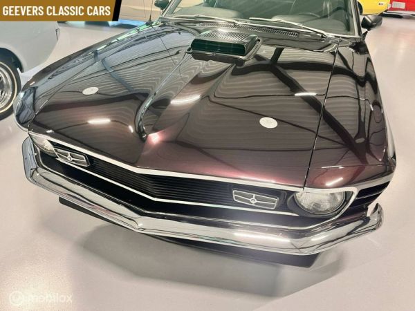 Ford Mustang 302 1970 123183