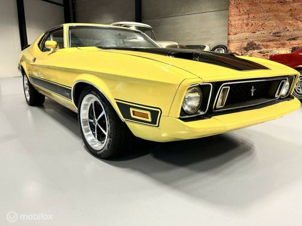 Ford Mustang Mach 1 1973