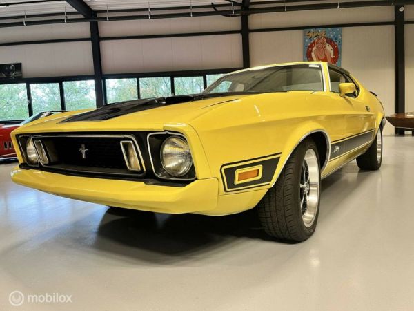 Ford Mustang Mach 1 1973 123198