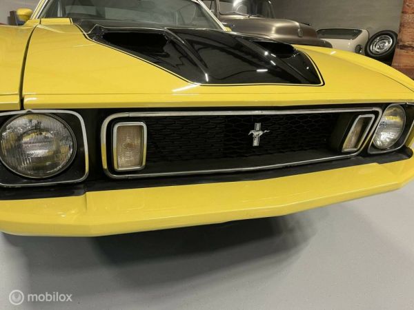 Ford Mustang Mach 1 1973 123199