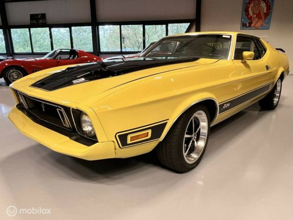 Ford Mustang Mach 1 1973 123200