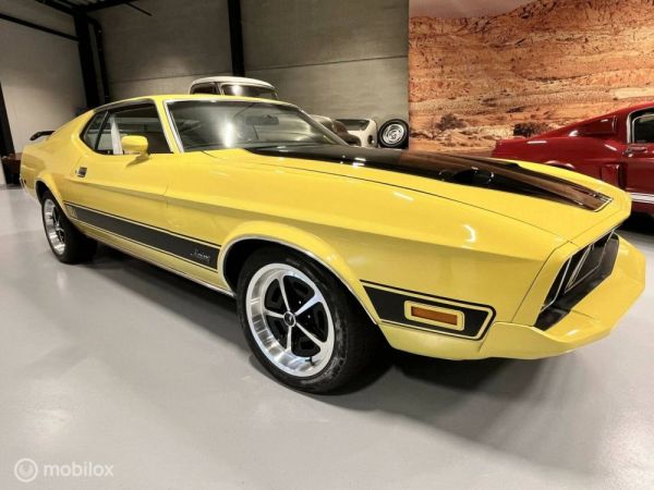 Ford Mustang Mach 1 1973 123201