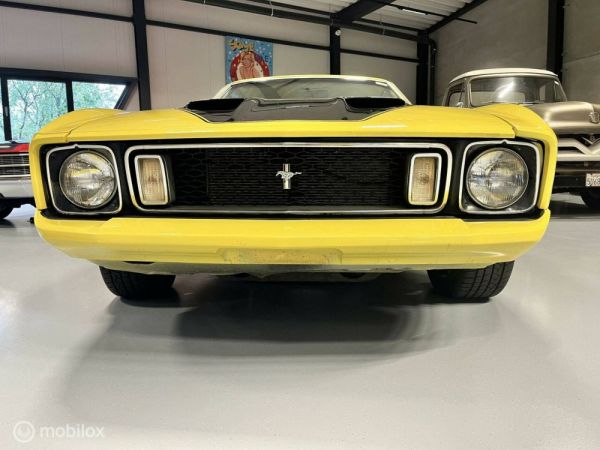 Ford Mustang Mach 1 1973 123202