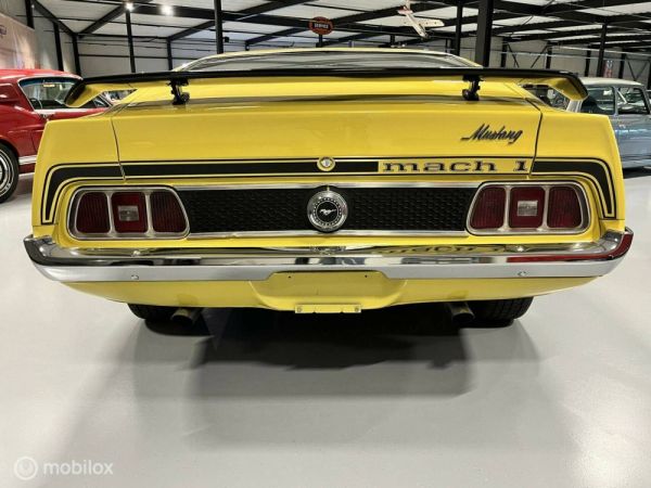 Ford Mustang Mach 1 1973 123203