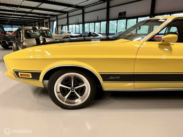 Ford Mustang Mach 1 1973 123204