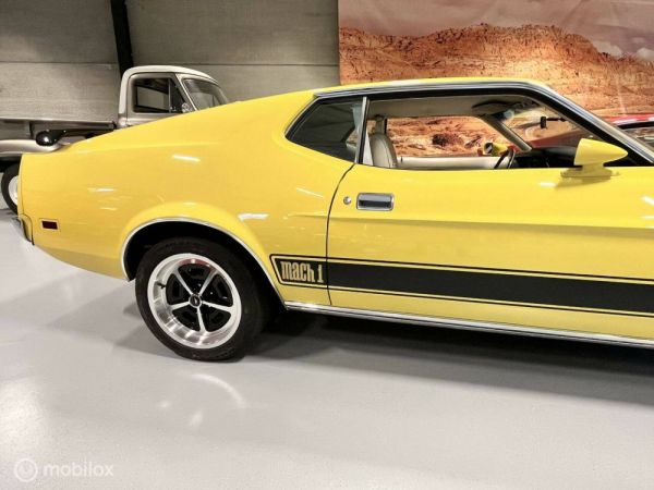 Ford Mustang Mach 1 1973 123205