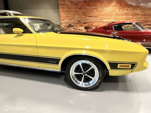 Ford Mustang Mach 1 1973 123207