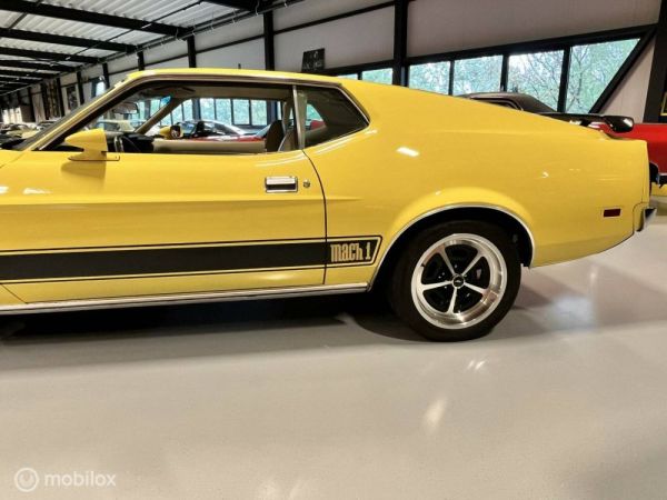 Ford Mustang Mach 1 1973 123208