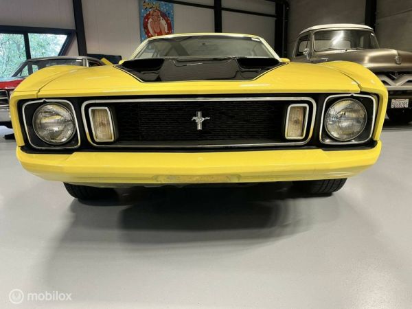 Ford Mustang Mach 1 1973 123209