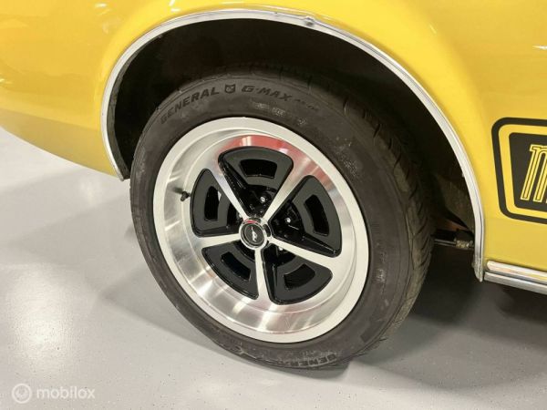 Ford Mustang Mach 1 1973 123210