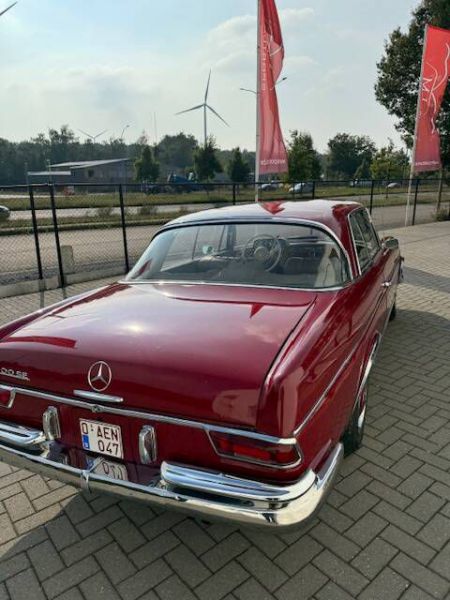 Mercedes-Benz 300 SE 1966 100232