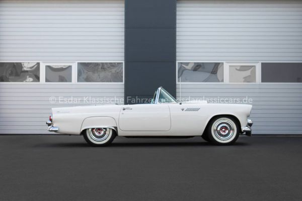 Ford Thunderbird 1955 88426