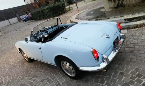 Alfa Romeo Giulia 1600 Spider Veloce 1965 119181