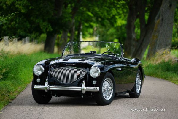 Austin-Healey 100/4 (BN1) 1955 13493