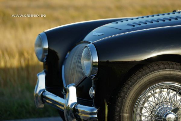 Austin-Healey 100/4 (BN1) 1955 13497