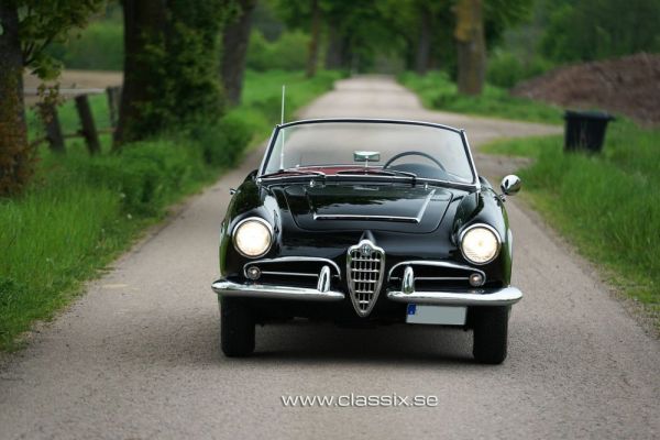 Alfa Romeo Giulia 1600 Spider 1964 117978