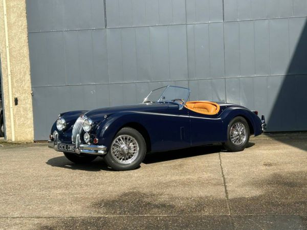 Jaguar XK 140 OTS 1956 9373