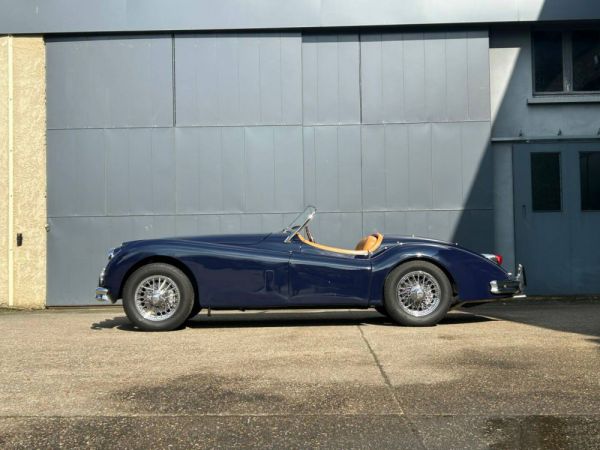 Jaguar XK 140 OTS 1956 9376