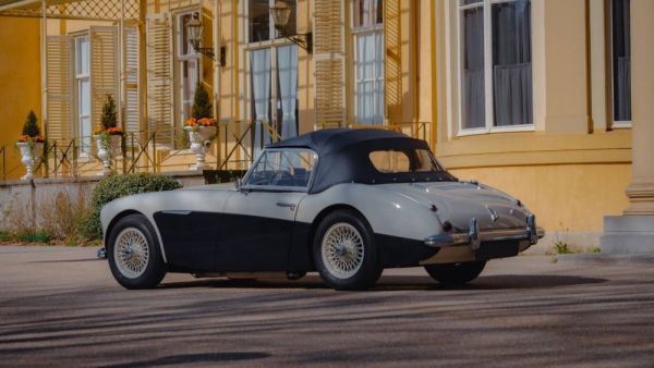 Austin-Healey 100/6 (BN4) 1957 124640