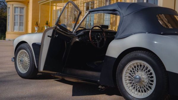 Austin-Healey 100/6 (BN4) 1957 124641