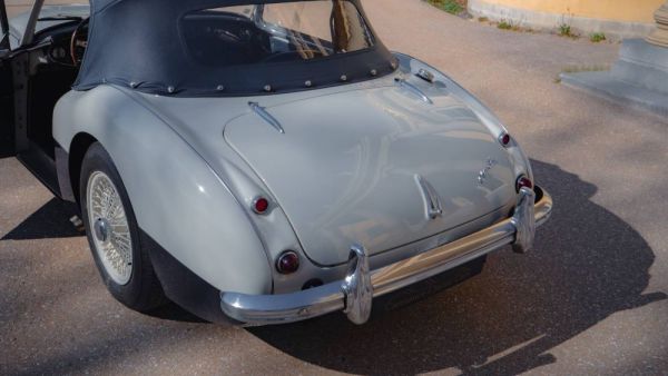 Austin-Healey 100/6 (BN4) 1957 124643