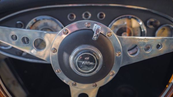 Austin-Healey 100/6 (BN4) 1957 124644