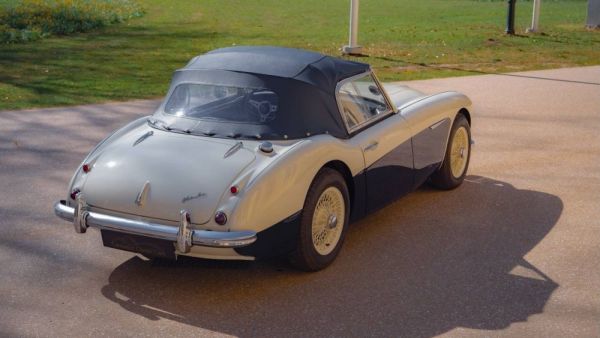 Austin-Healey 100/6 (BN4) 1957 124649