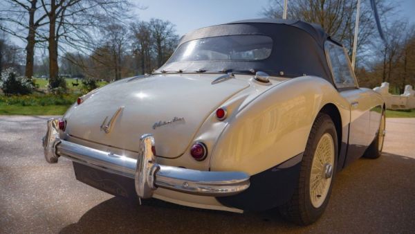 Austin-Healey 100/6 (BN4) 1957 124651