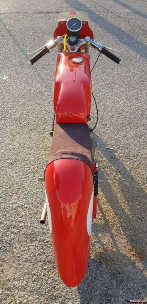 Benelli Leoncino Bassotto 1951 113585