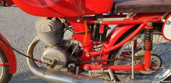 Benelli Leoncino Bassotto 1951 113587