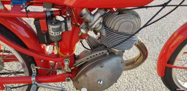 Benelli Leoncino Bassotto 1951 113588