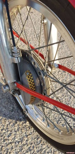 Benelli Leoncino Bassotto 1951 113589