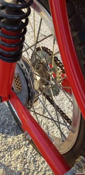 Benelli Leoncino Bassotto 1951 113590