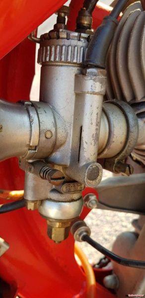 Benelli Leoncino Bassotto 1951 113591