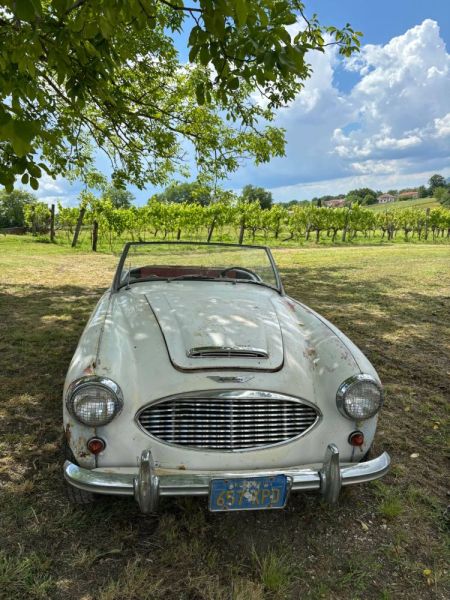 Austin-Healey 3000 Mk I (BN7) 1960
