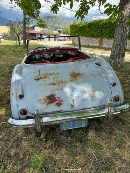 Austin-Healey 3000 Mk I (BN7) 1960 118874