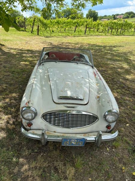 Austin-Healey 3000 Mk I (BN7) 1960 118875
