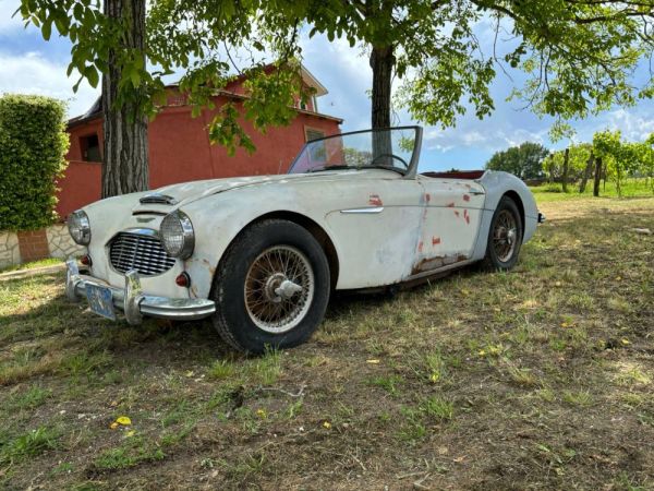 Austin-Healey 3000 Mk I (BN7) 1960 118876