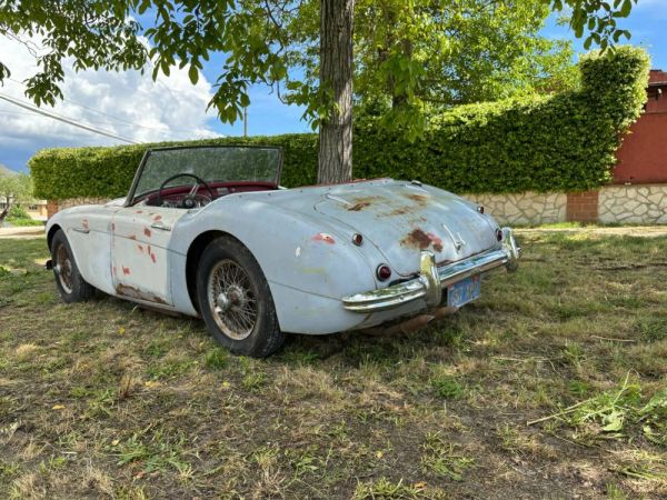 Austin-Healey 3000 Mk I (BN7) 1960 118877