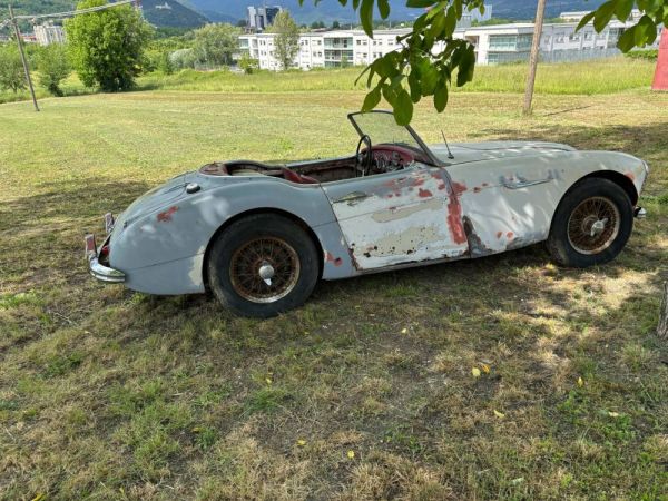 Austin-Healey 3000 Mk I (BN7) 1960 118879