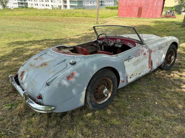 Austin-Healey 3000 Mk I (BN7) 1960 118880