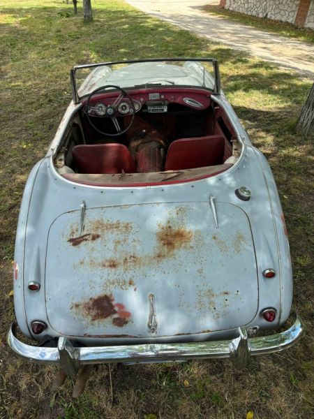 Austin-Healey 3000 Mk I (BN7) 1960 118881