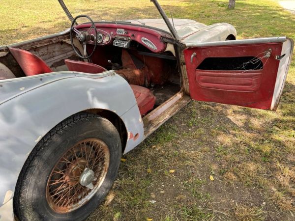 Austin-Healey 3000 Mk I (BN7) 1960 118882