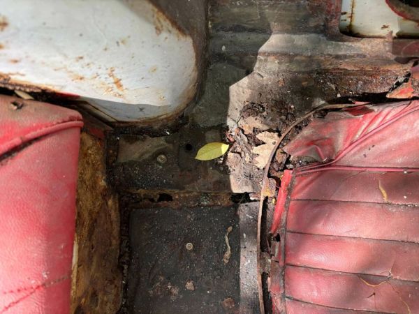 Austin-Healey 3000 Mk I (BN7) 1960 118885