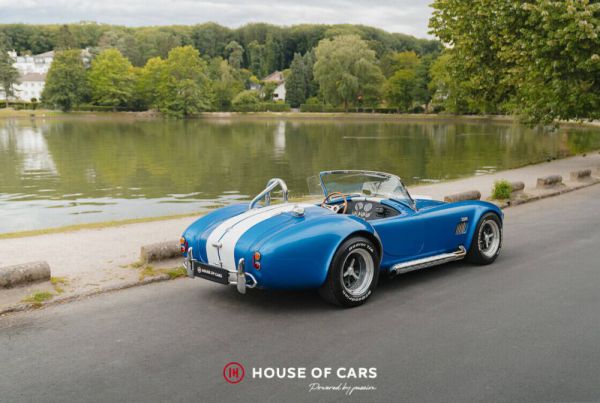AC Cobra 289 1963 40429