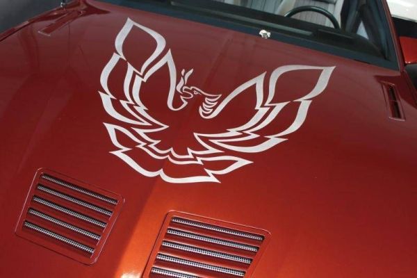 Pontiac Firebird TransAm 1986 119341