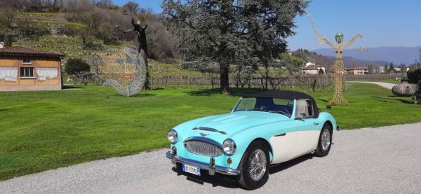 Austin-Healey 3000 Mk II (BT7) 1962 117488