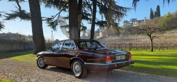 Jaguar XJ 6 4.2 1982 117505