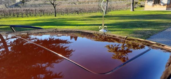 Jaguar XJ 6 4.2 1982 117511